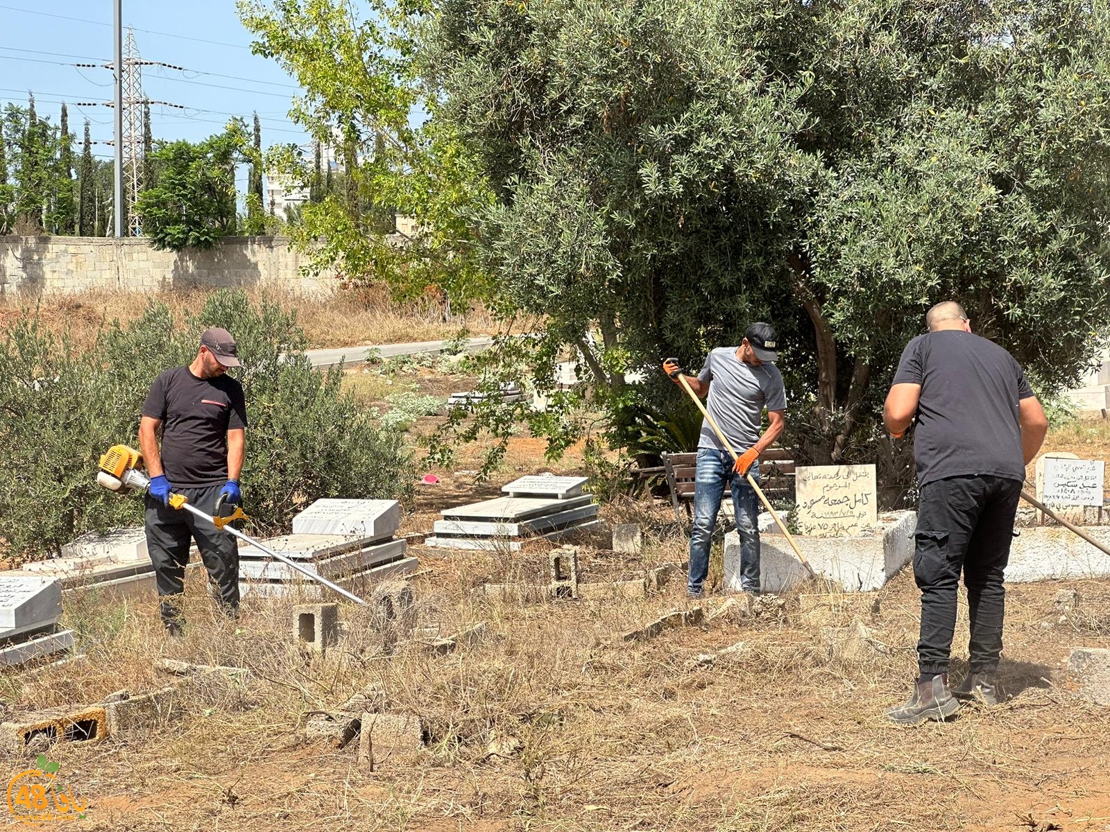 WhatsApp Image 2023-06-17 at 3.38.59 PM (4).jpeg